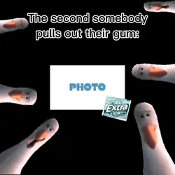 when someone has gum