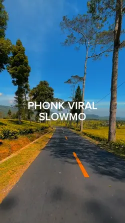Phonk Viral edit