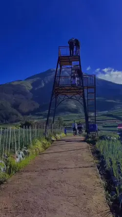 pemandangan 