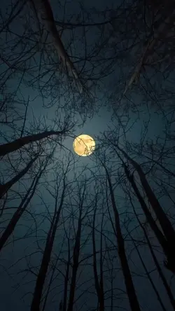 Vibes Moon