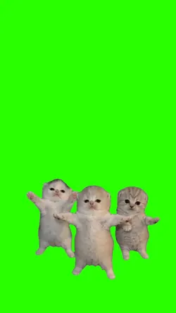 Gatitos Bailando 