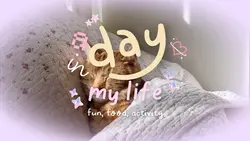 opening vlog cute