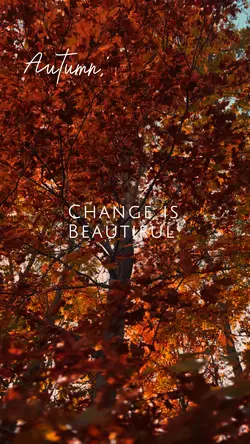 Autumn template
