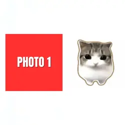 dam dam di di cat