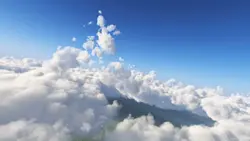 leave this behind