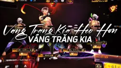 Mẫu 3 vd / ảnh