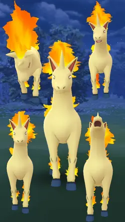 Pokemon Rapidash