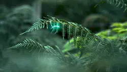 7KLIP AESTHETIC 