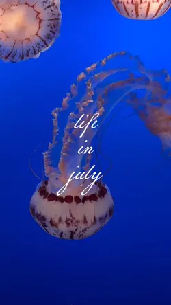 life in july