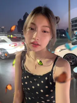 butterflies