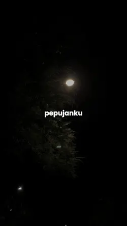 dj segara madu
