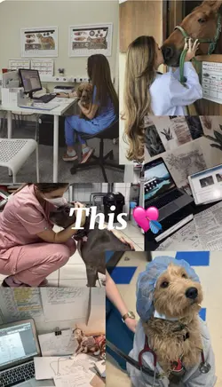 Dream job 💘