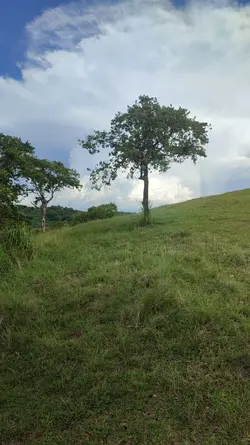 Nature trip