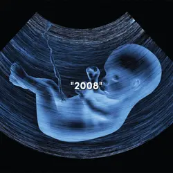 2008"2025
