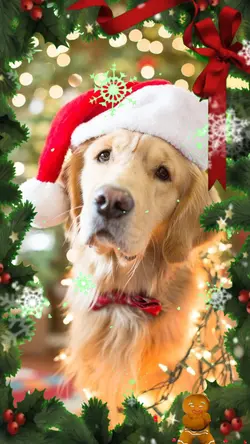 Christmas frame 