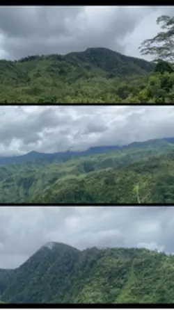 The mountains