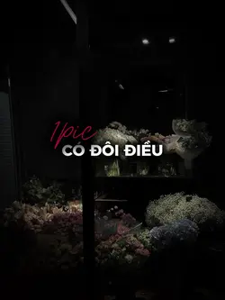 CÓ ĐÔI ĐIỀU || SHIKI