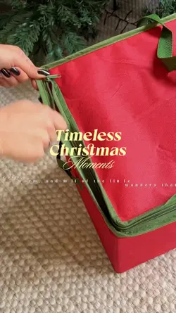 CHRISTMAS EDIT