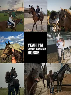 Take my horse