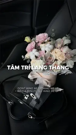 TÂM TRÍ LANG THANG📍