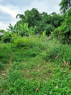 Dijual Tanah