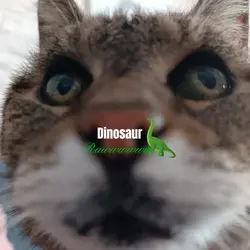 Rawwww