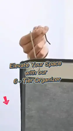 organizer