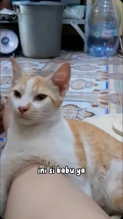 Suara hati anabul 1