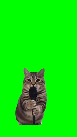 Gatito Cantando