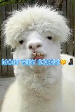 Most viby songs pt.1