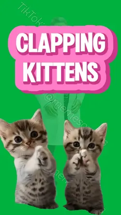 CLAPPING KITTENS