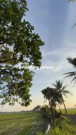 morning person