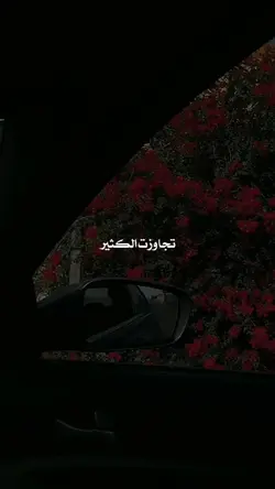 تجاوزت الكثير