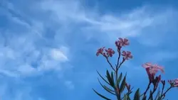 #unexpected