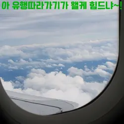 요즘 유행하는거