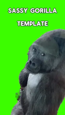 Sassy gorilla