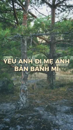 [2] Ảnh