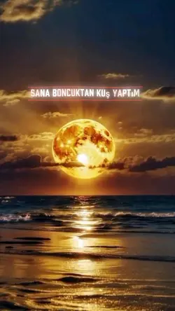 Doğum Günü