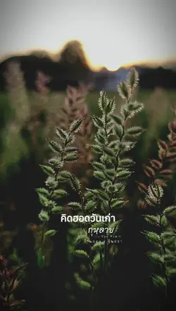 กุหลาบremix
