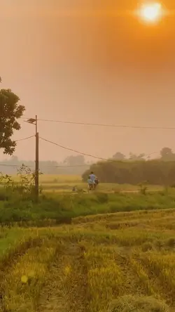 Indonesia's natural 