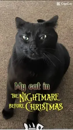 Nightmare b4 Seamus 