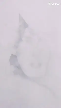 biyografi sözleri 