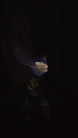 DARK MOTION 🖤
