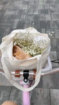 today vlog