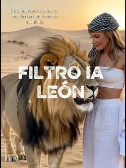 AI FILTER LEÓN 