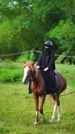 berkuda,,