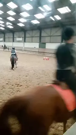 petit vs grand 