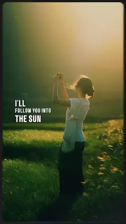 Into the sun 