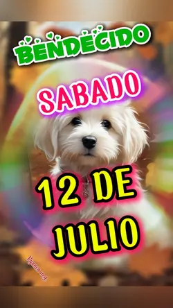 Feliz  sábado!