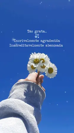 gratidão
